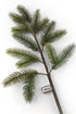 Artificial 75cm Single Stem Fraser Fir Spray